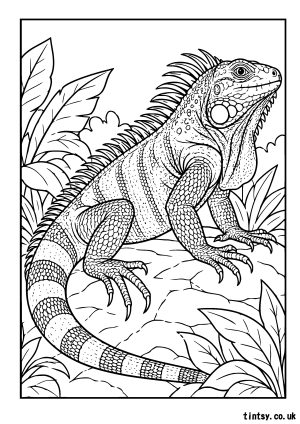 Iguana Colouring Page: A Tropical Wildlife Adventure
