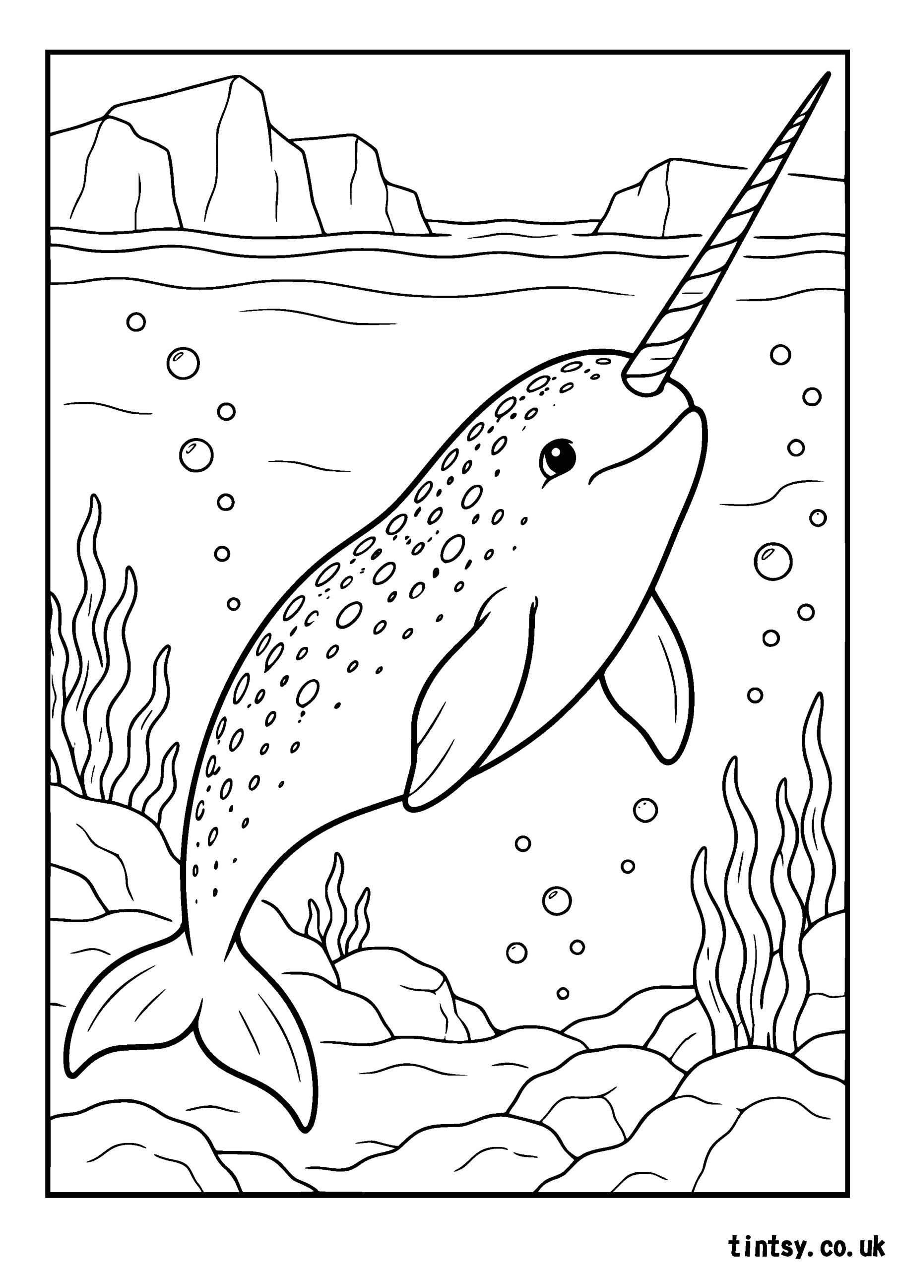 Narwhal Colouring Page (Free Printable)