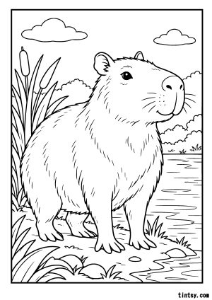 Print your free capybara colouring page today and enjoy a little wildlife-inspired creativity!