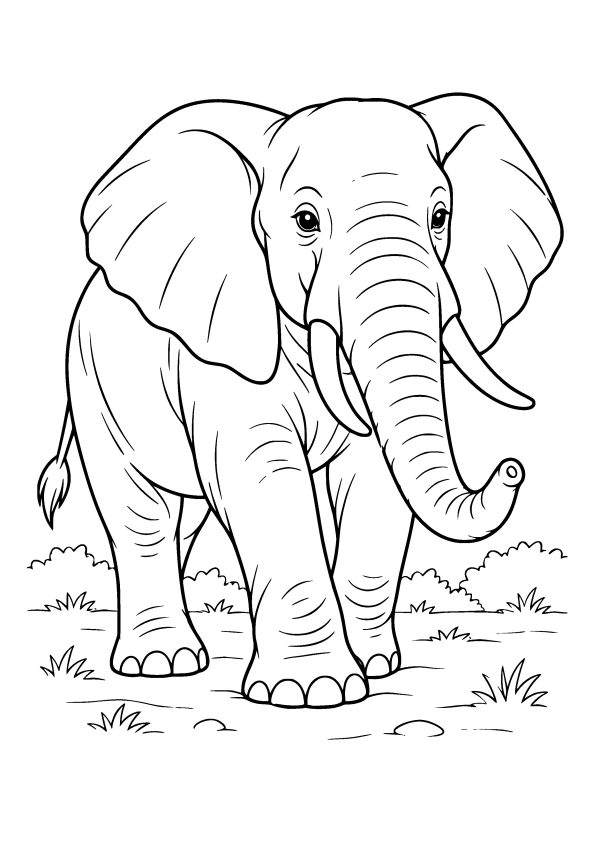 Elephant Colouring Page – Free Printable A4 size