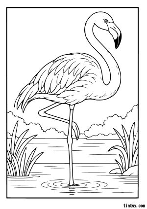 Flamingo Colouring Page (Free Printable)