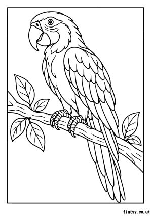 Free Parrot Colouring Page – A Beautiful Bird to Bring to Life