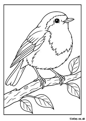 Free Robin Bird On Branch Colouring Page Printable
