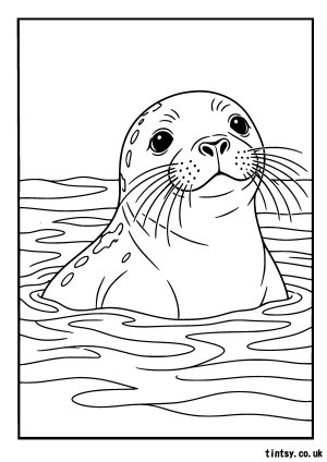 Free Seal Swimming Colouring Page Printable
