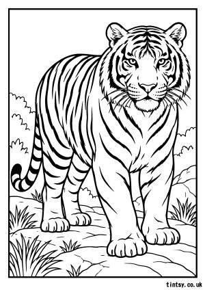 Tiger Colouring Page (Free Printable)