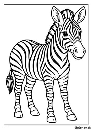 Zebra Colouring Page: A Fun and Creative Activity for Kids